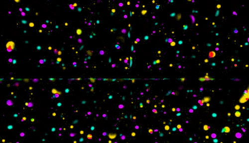 psychedelicacies