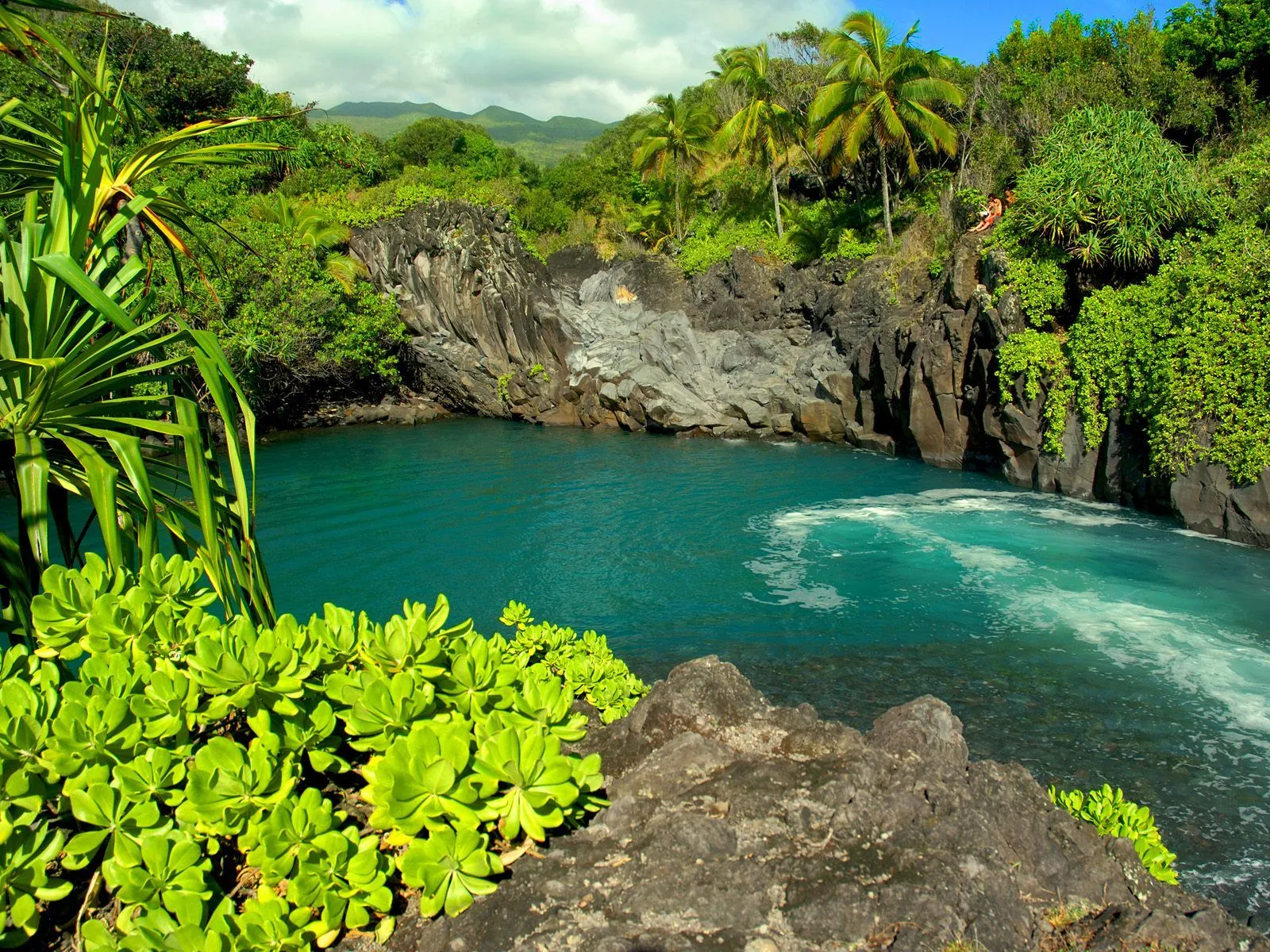 Publicado por bobiandcompany Categorias Exoticos , Paisajes Publicado por bobiandcompany Categorias Exoticos , Paisajes