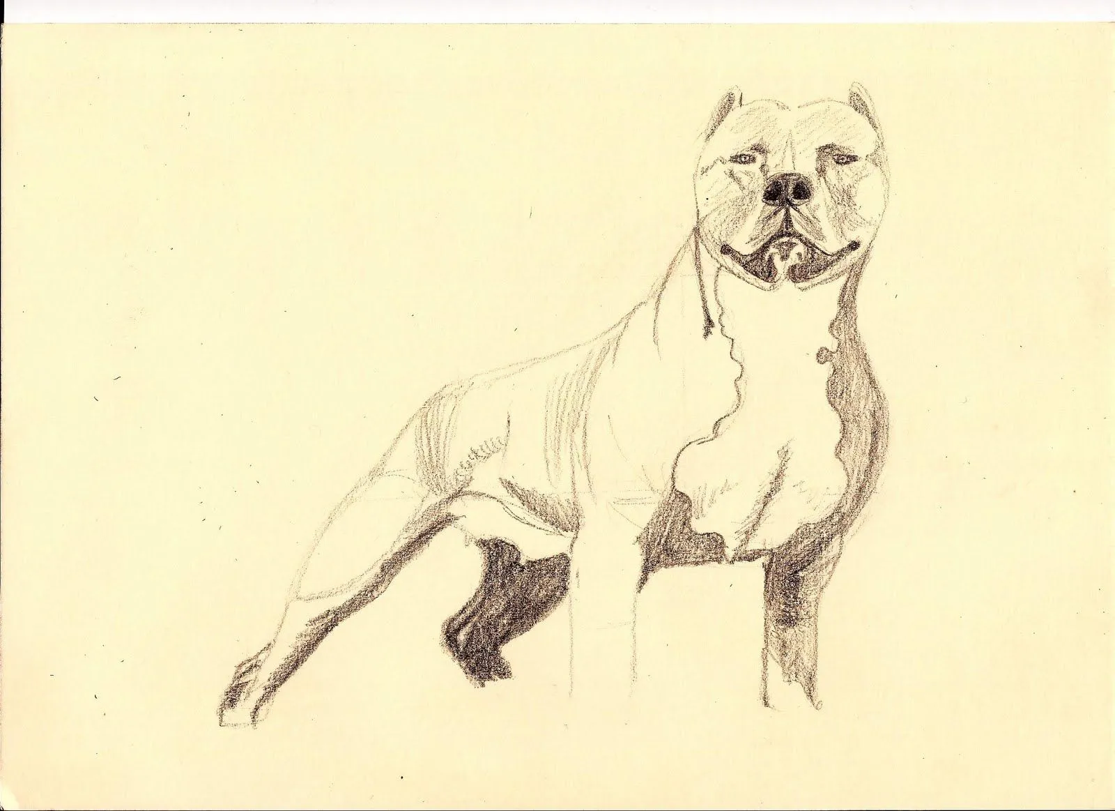 dibujo realizado a lapiz tamano a4 fecha 02 07 11 se muestra el ... dibujo realizado a lapiz tamano a4 fecha 02 07 11 se muestra el ...