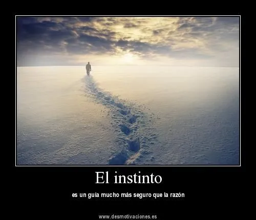 Publicado por The silent man en 02:48 0comentarios Publicado por The silent man en 02:48 0comentarios