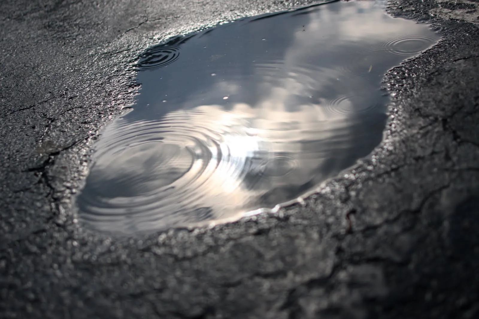 puddle. » // haley george . wedding, lifestyle & humanitarian ... puddle. » // haley george . wedding, lifestyle & humanitarian ...