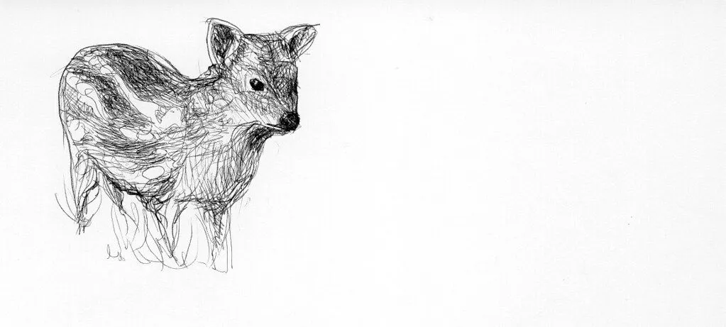 PUDÚ | Flickr - Photo Sharing!