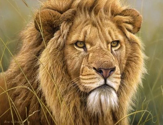 Puedes creer que estas no son fotos? son las pinturas de Eric ... Puedes creer que estas no son fotos? son las pinturas de Eric ...
