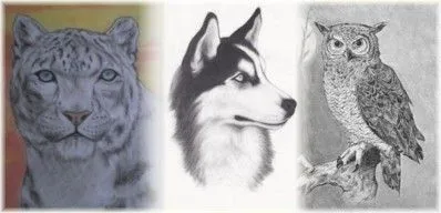 ... puedes ver los diferentes retratos separados por clases de animales ... puedes ver los diferentes retratos separados por clases de animales