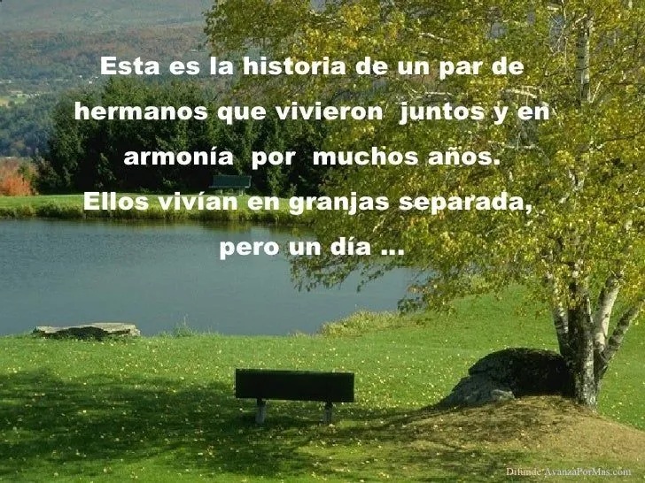 El puente avanzapormas-com