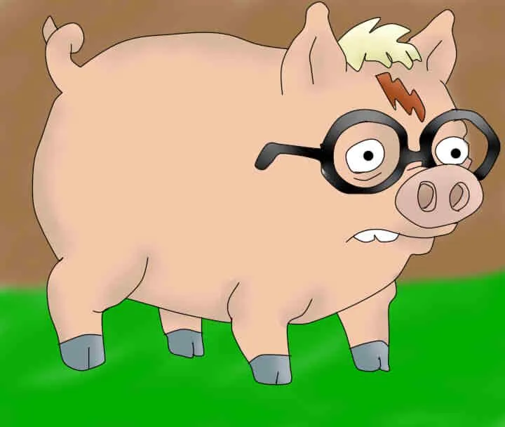 DIBUJO DE PUERCO ARAÑA - Imagui