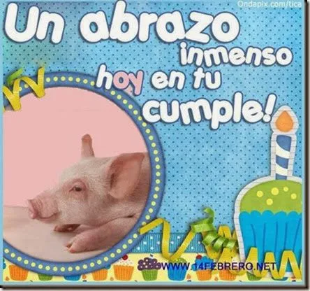 Puerquitos, chanchos, cerdos tarjetas cumpleaños | Busco Imágenes