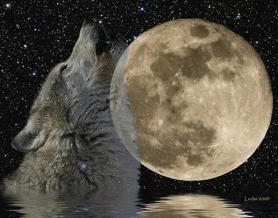 La puerta hacia la fantasia: LEYENDA DE LA LUNA Y EL LOBO La puerta hacia la fantasia: LEYENDA DE LA LUNA Y EL LOBO