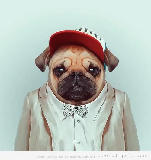 Pug | Cuánto Hipster| Cuánto Hipster | Blog muy marginal sobre ... Pug | Cuánto Hipster| Cuánto Hipster | Blog muy marginal sobre ...