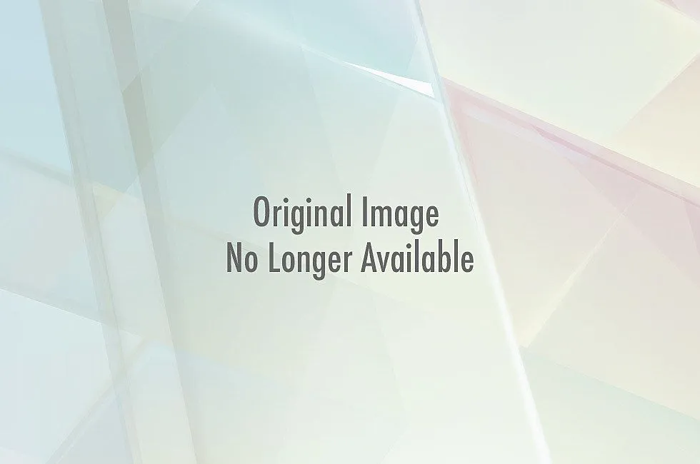 Pugs Dressed as Movie Characters for Halloween