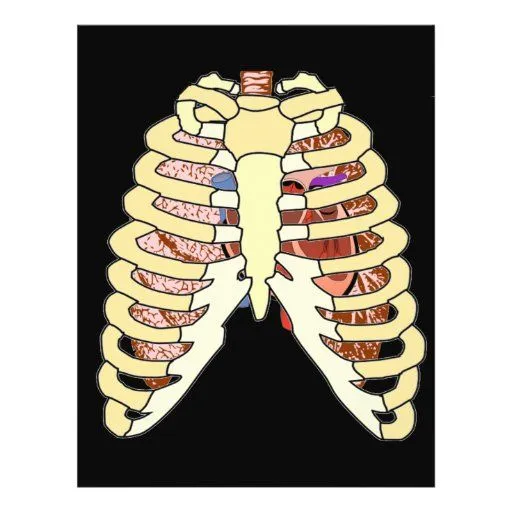 Pulmones y corazón de la caja torácica en negro flyer a todo color ... Pulmones y corazón de la caja torácica en negro flyer a todo color ...