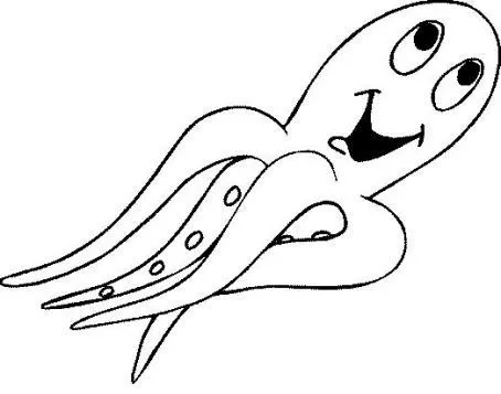 Pulpo para colorear | dibujos | Pinterest | Animales Pulpo para colorear | dibujos | Pinterest | Animales