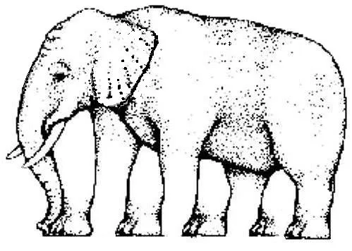Ilusiones ópticas, Paradojas, Percepción de las imágenes