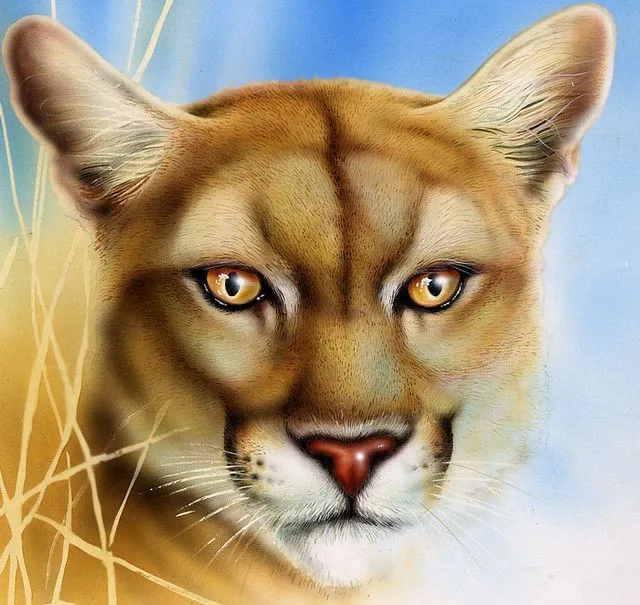 Puma | Flickr - Photo Sharing!
