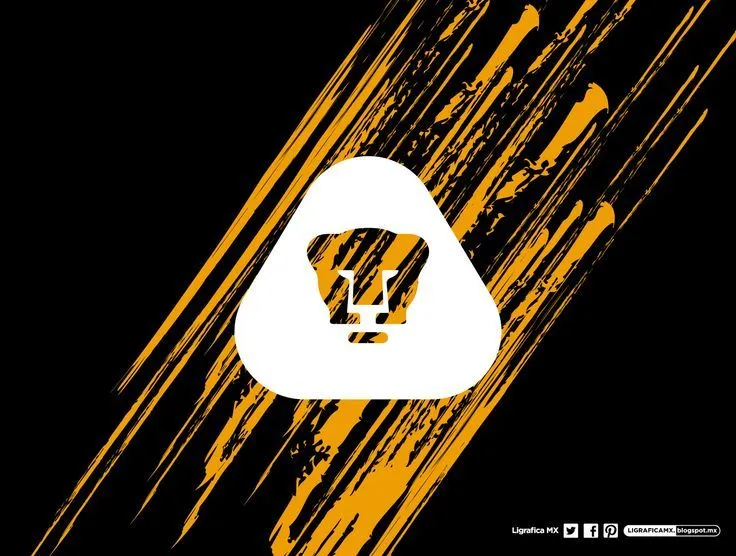 pumas on Pinterest | Futbol, Wallpapers and Football