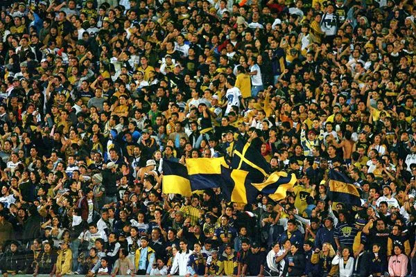 pumas-rebel: noviembre 2010