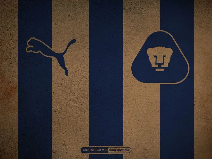 Pumas unam wallpaper - Imagui