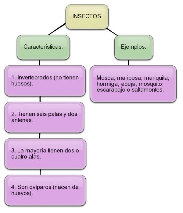 PUNTALINEX: diciembre 2011