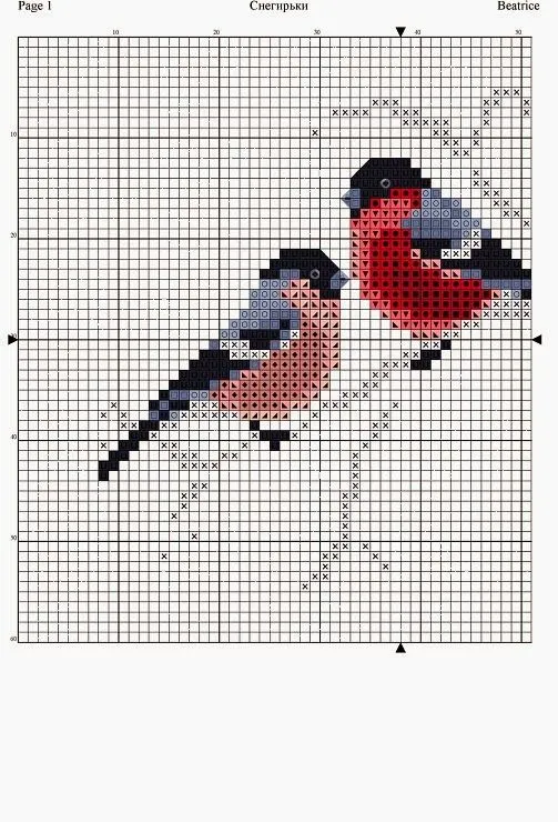 Punto Cruz Costa.: Aves
