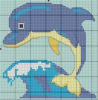 Punto Cruz: Delfines