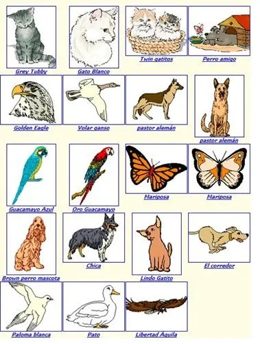 Animales en punto de cruz, perros, loros, gatos, pato, mariposas ... Animales en punto de cruz, perros, loros, gatos, pato, mariposas ...