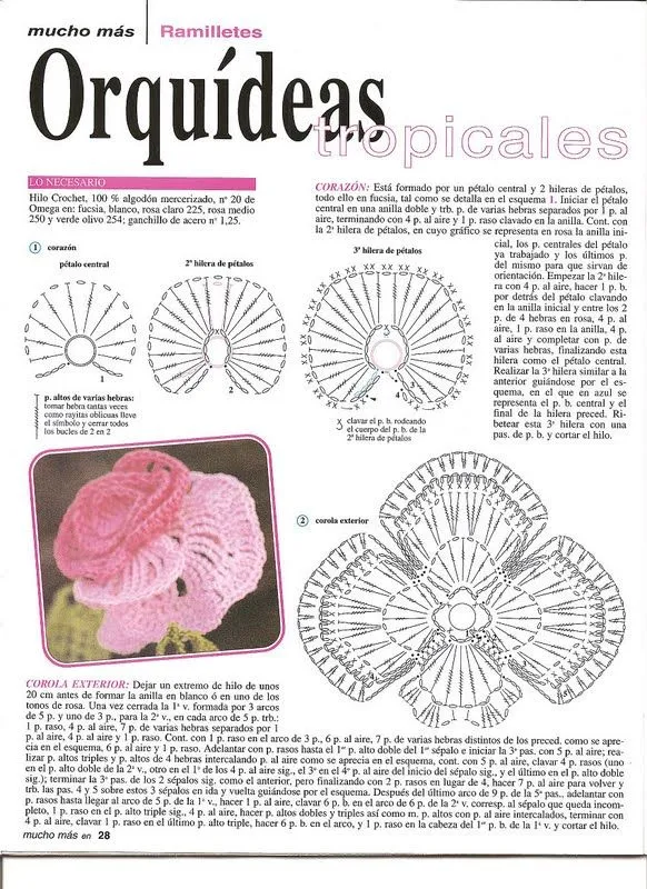 SOLO PUNTOS: Crochet orquídeas