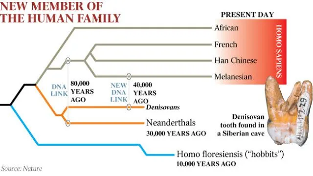 Pureza racial, racismo y evolución humana a la luz de la genética ...