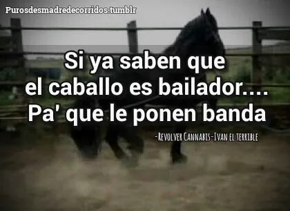 Puros Corridos & Banda