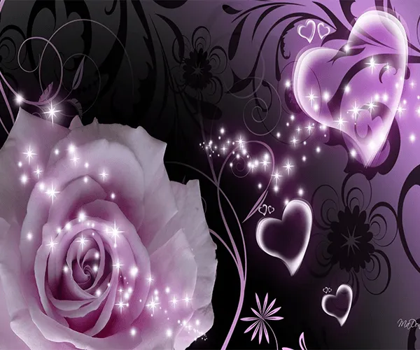 Purple Rose Live Wallpaper - Android Apps on Google Play