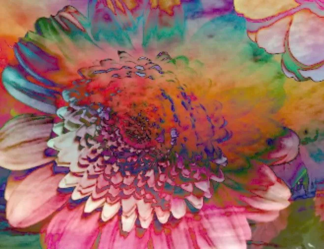 Purpletugboat (pureblindingcolour: the inner life of flowers ... Purpletugboat (pureblindingcolour: the inner life of flowers ...