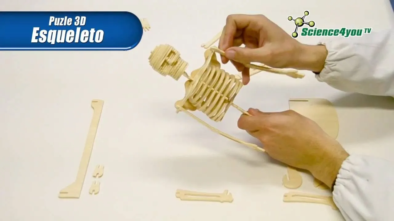 Puzle 3D Esqueleto | Science4you - YouTube
