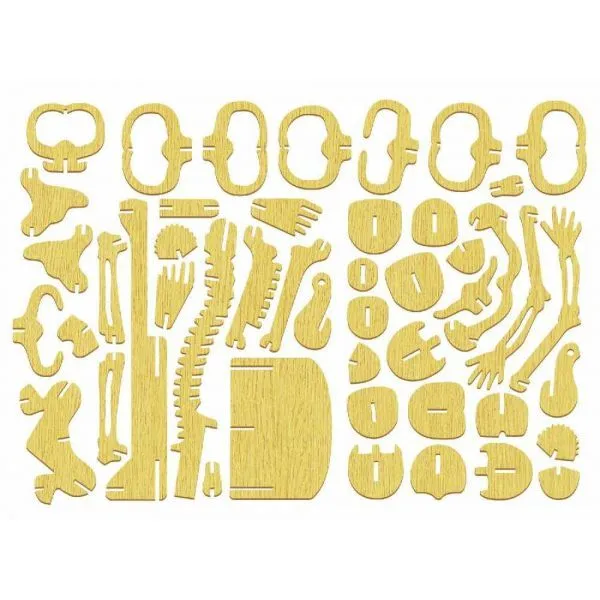 Puzzle 3D Esqueleto Humano. Caja algo dañada – Rey-Mago.com Puzzle 3D Esqueleto Humano. Caja algo dañada – Rey-Mago.com