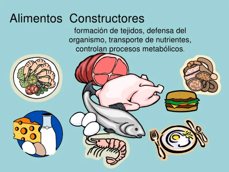Puzzle de Alimentos Constructores-Lizeth Alonso R. , rompecabezas de Puzzle de Alimentos Constructores-Lizeth Alonso R. , rompecabezas de