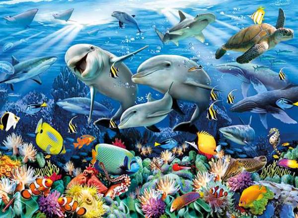 Puzzle CLEMENTONI: Puzzle de 6000 piezas puzzle delfines fondo ...