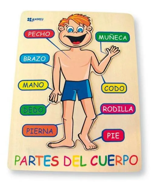 Puzzle de cuerpo humano , rompecabezas de