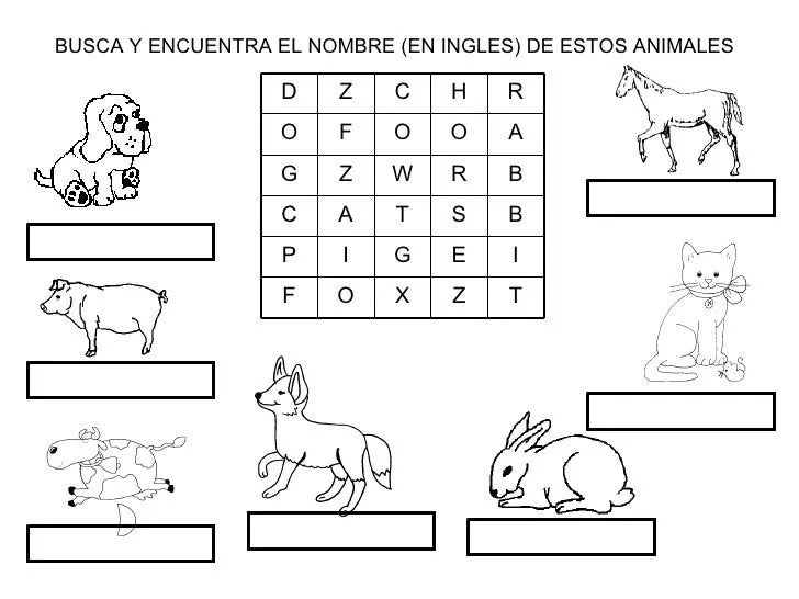 Puzzle Para Ingles