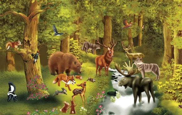 Puzzle Nivel 1: Animales del bosque | Recurso educativo 34313 ... Puzzle Nivel 1: Animales del bosque | Recurso educativo 34313 ...