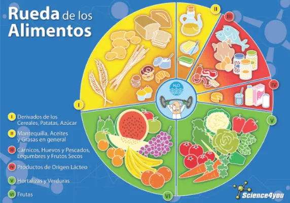 Puzzle Rueda de los alimentos - - Fnac.es - - Libro Puzzle Rueda de los alimentos - - Fnac.es - - Libro