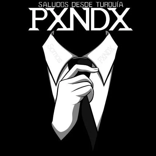 Somos Pxndx (@SPSomosPxndx) | Twitter