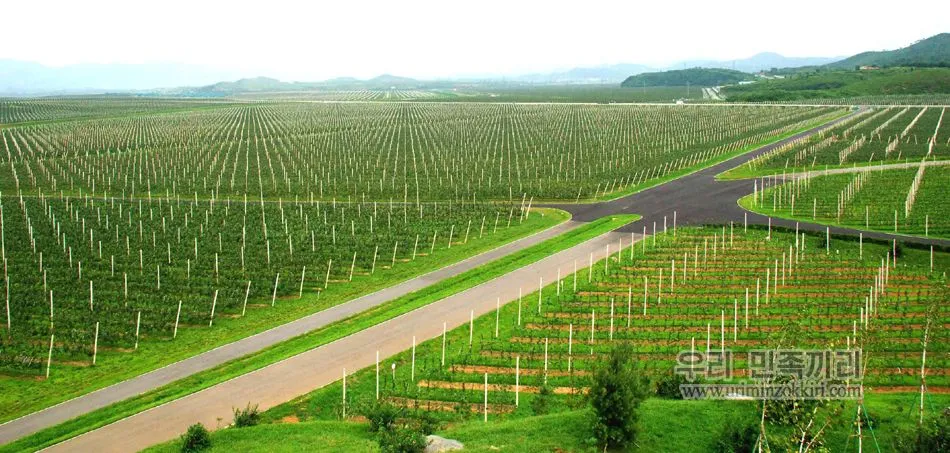 De Pyongyang a La Habana.: Zonas rurales de Corea del Norte. De Pyongyang a La Habana.: Zonas rurales de Corea del Norte.