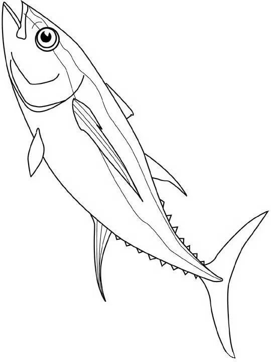 PZ C: animales para colorear