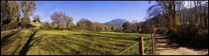 QDD Resultado QDD Hispalense - Página 6