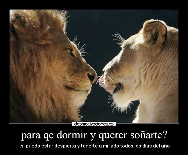 Imagen de amor para dormir - Imagui