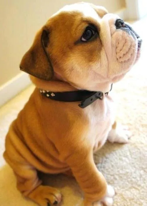 La verdad es qu… | Lee Mayra Darcy