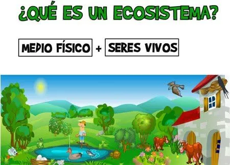 El ecosistema para colorear - Imagui