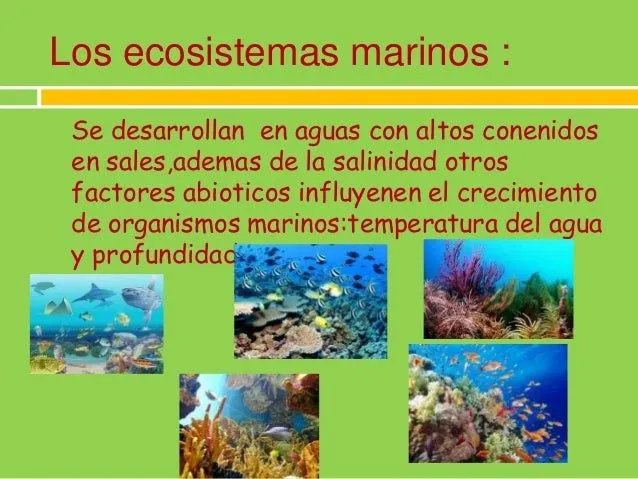 que-es-un-ecosistema-4-638.jpg ...