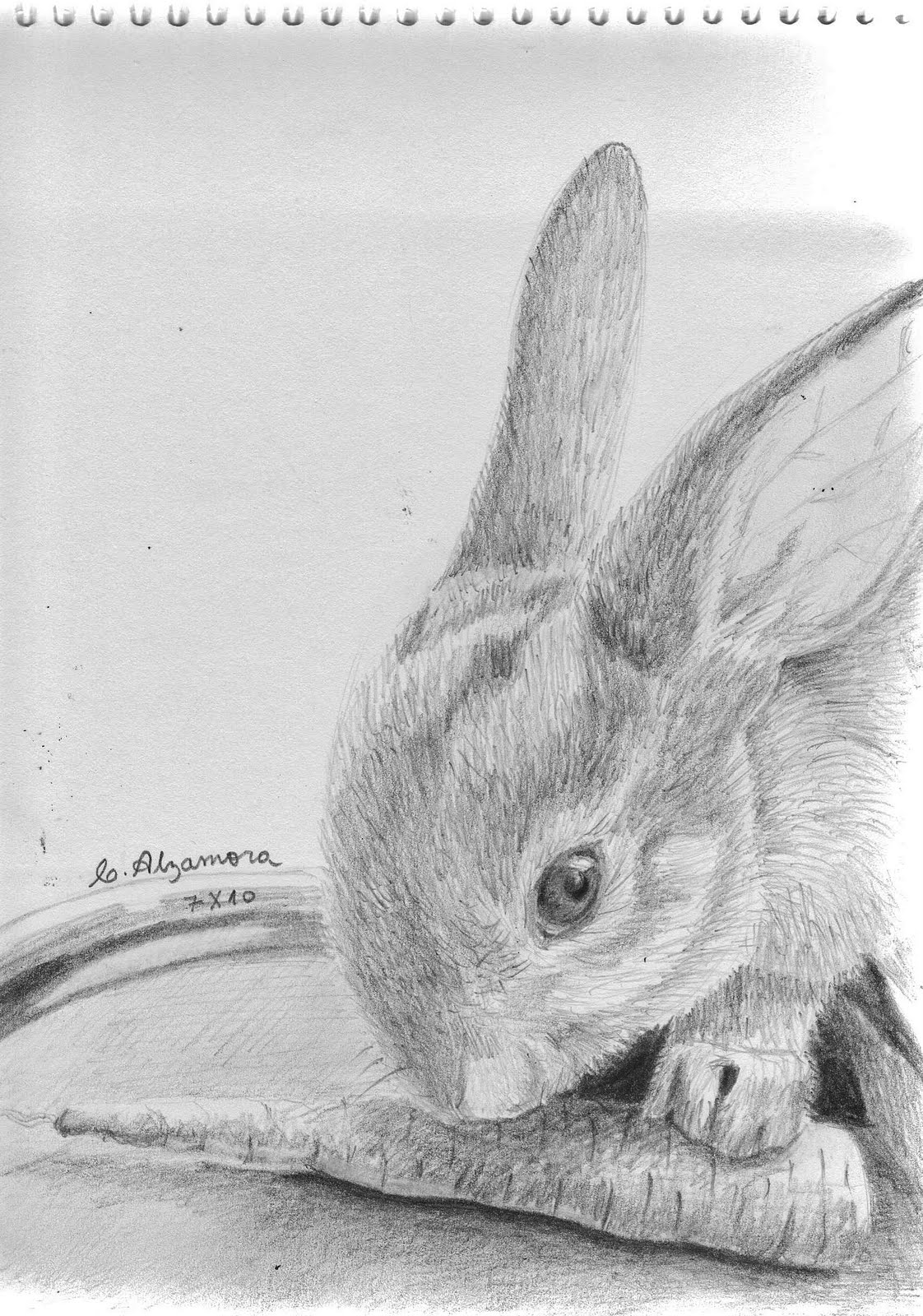 Es que... necesitaba un blog: Conejín