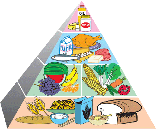 QUÉ ES LA PIRÁMIDE NUTRICIONAL? | Dr. Juan José Munné QUÉ ES LA PIRÁMIDE NUTRICIONAL? | Dr. Juan José Munné