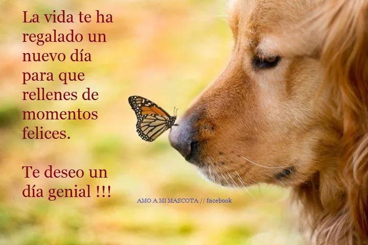 QUÉ SENCILLO ES SER FELIZ!: QUE TENGAS UN GRAN DÍA!!!!