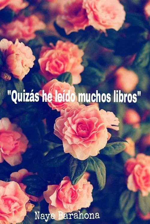 Yo nunca he querido más... hasta que te conocí. Yo nunca he querido más... hasta que te conocí.